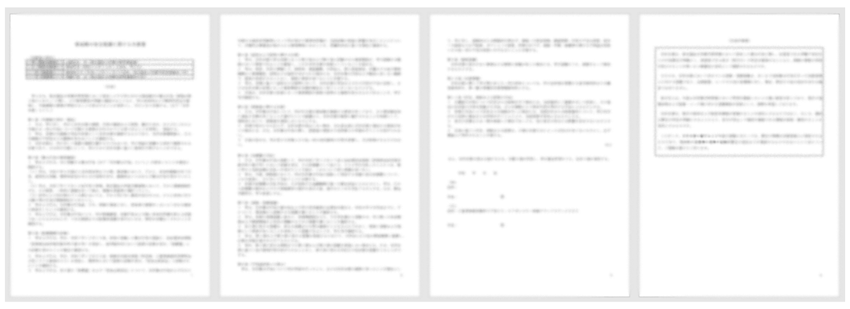 合意書草案（抜粋）イメージ