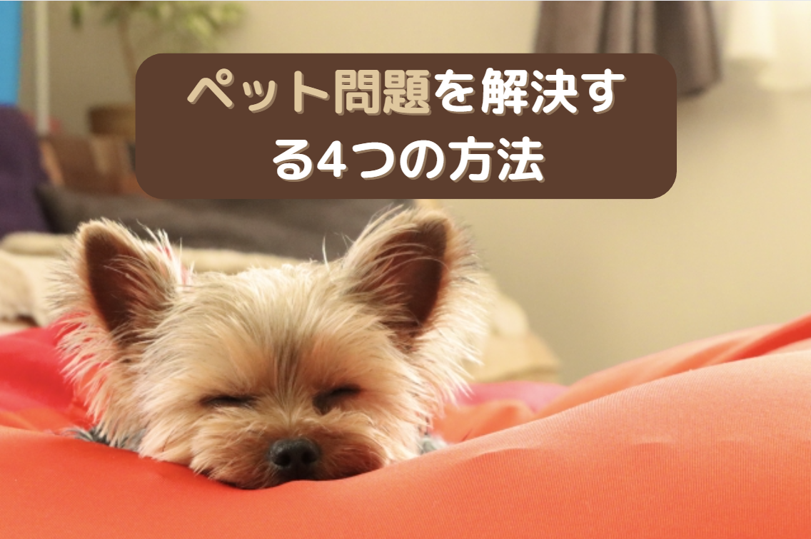 飼い主が亡くなった犬 終活におけるペット問題を解決する4つの方法